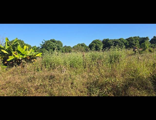 LAND FOR SALE IN MULEDANE